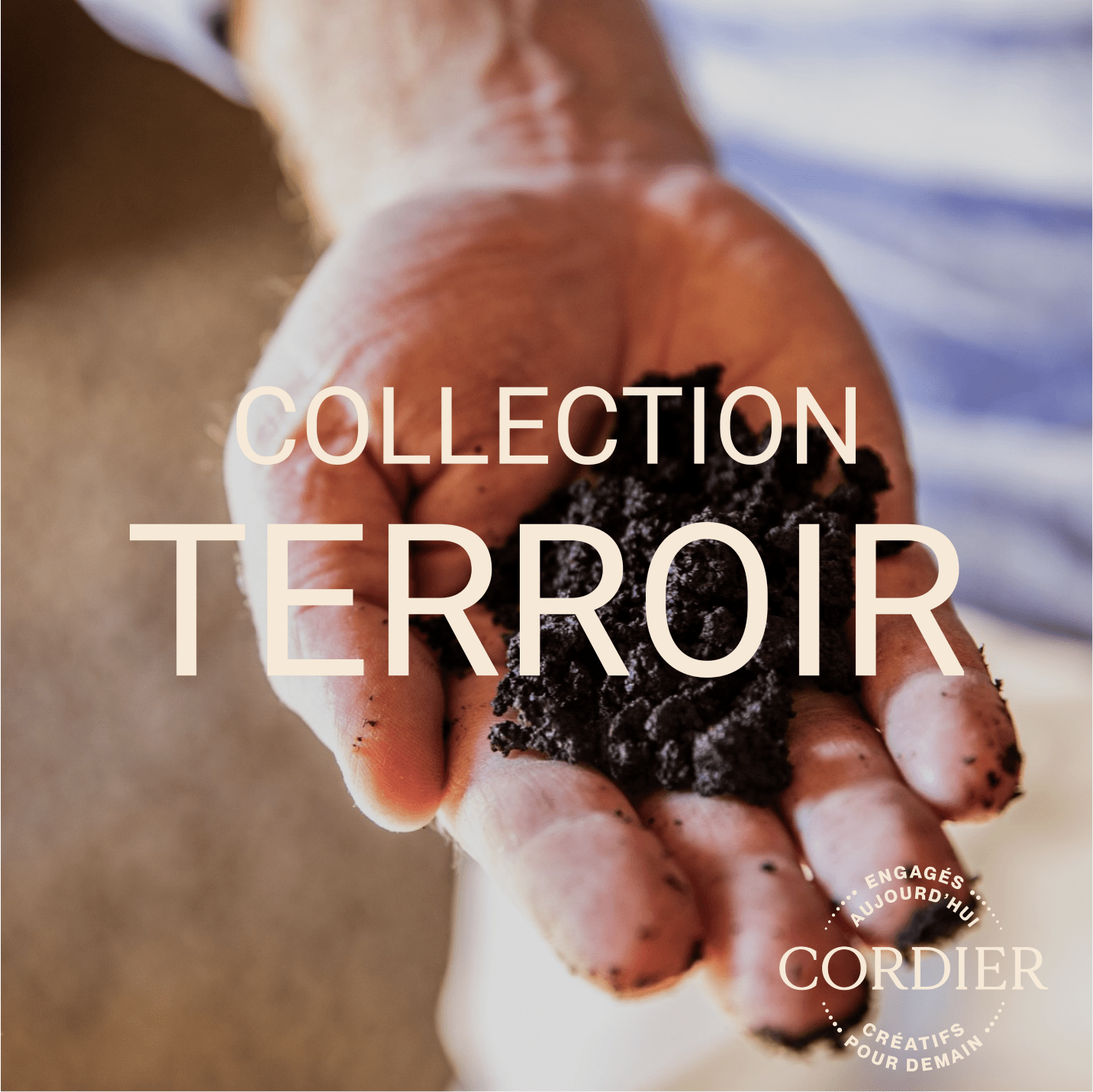 Cordier Collection Terroir_FR Cordier Collection Terroir
