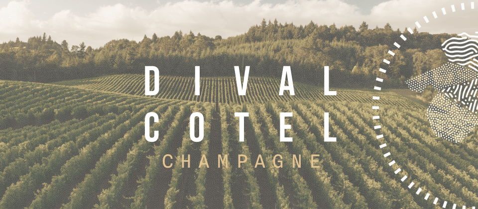 Dival Cotel Vins Cordier