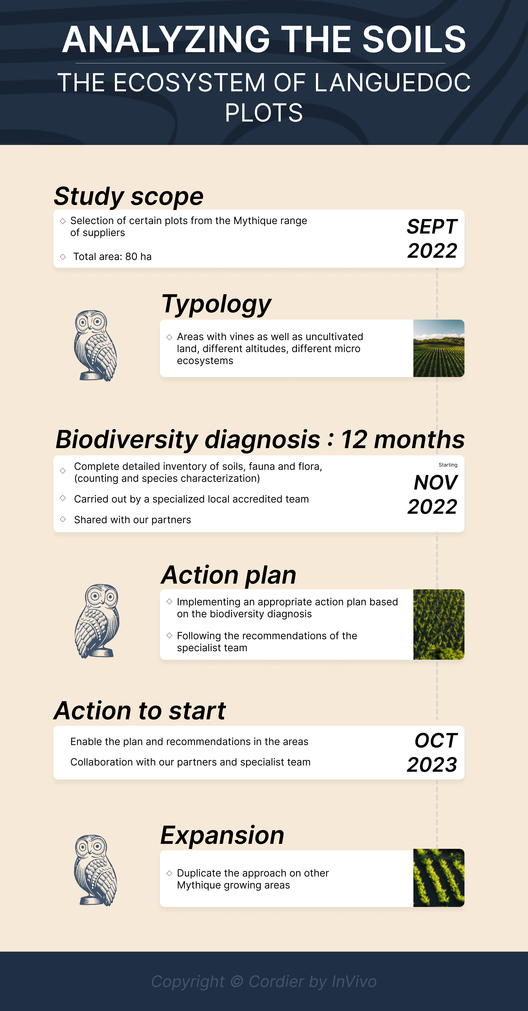 ANALYZING THE SOILS - MYTHIQUE (1)
