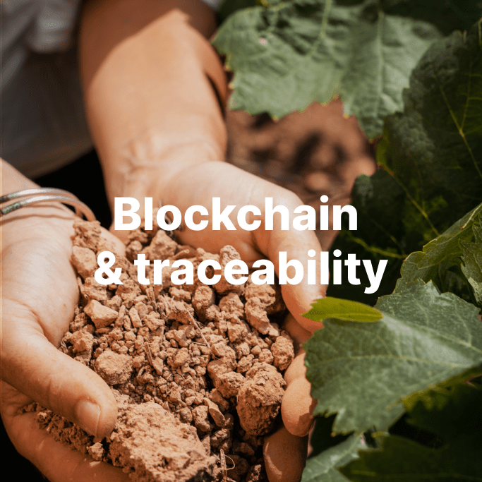 Blockchain & traceability