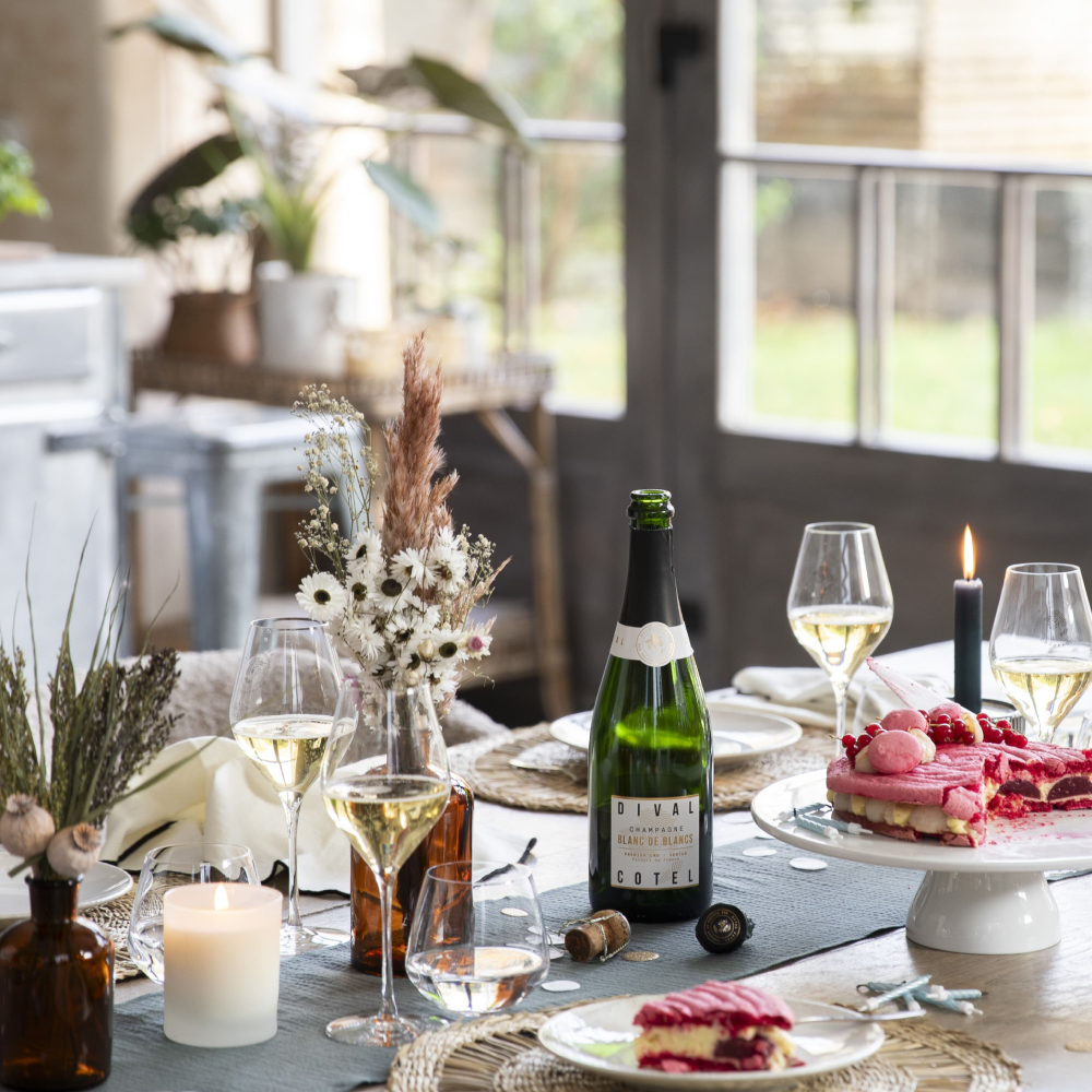 Dival Cotel Collection