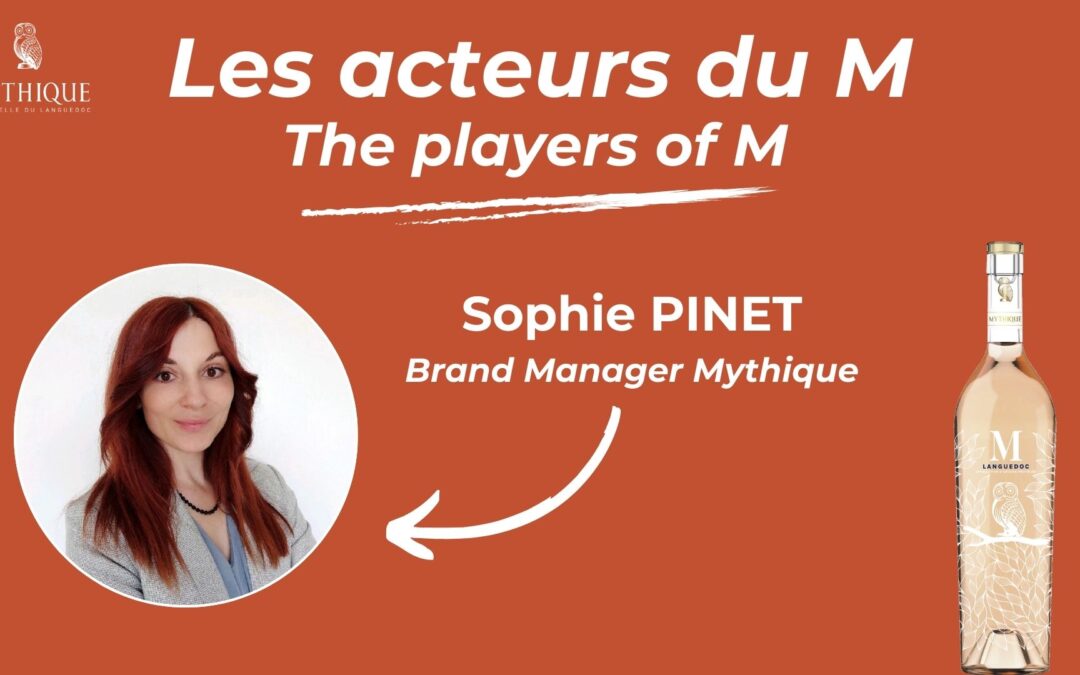Les acteurs du M !