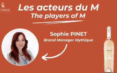Les acteurs du M !